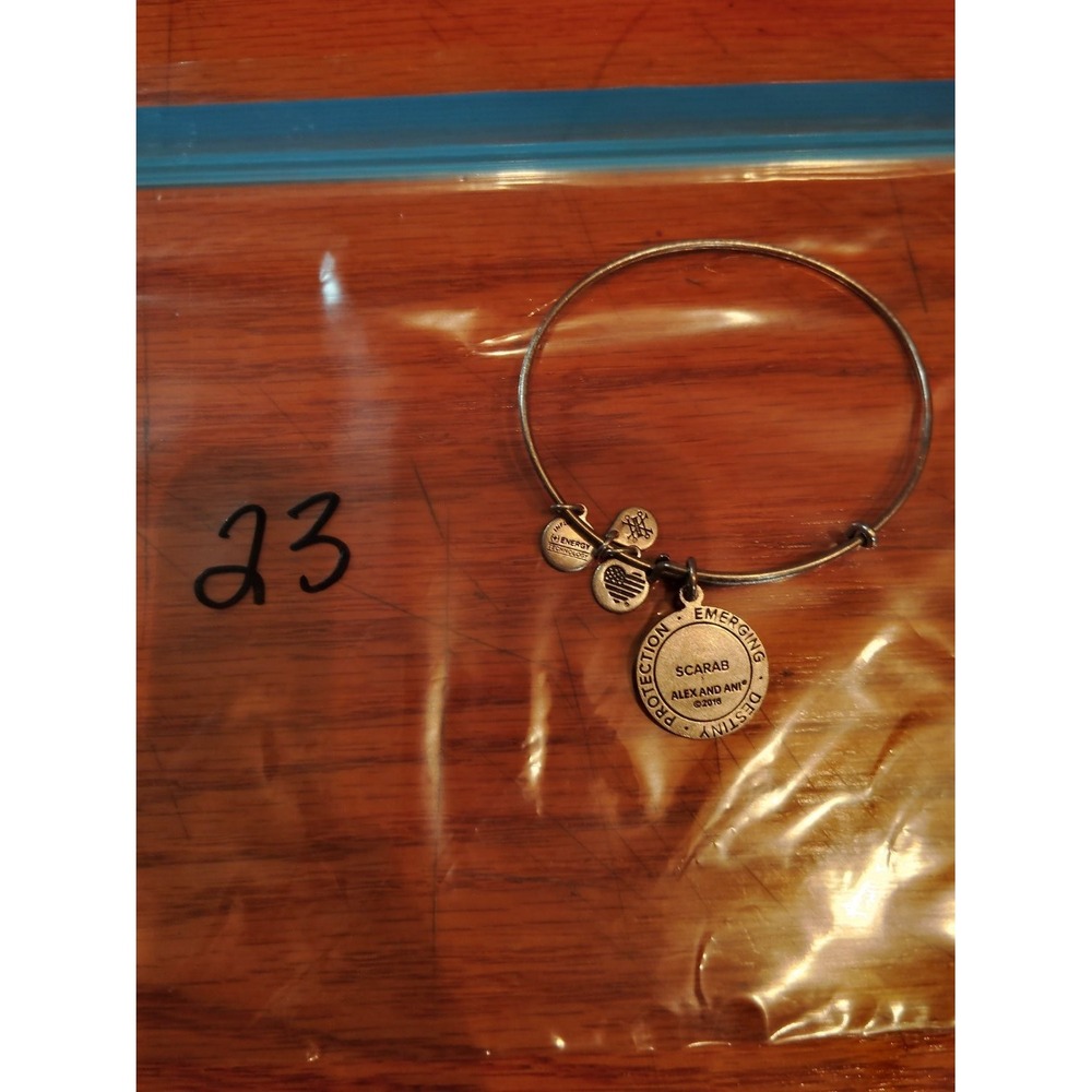 Alex and Ani Scarab Charm Bangle Expandable Bracelet Rafaelian Silver Womens